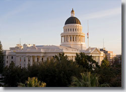 DMV Fraud & Court Counterfeit